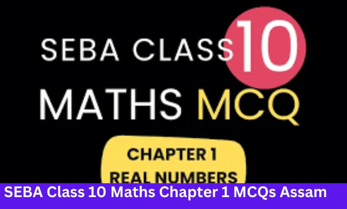 SEBA Class 10 Maths Chapter 1 MCQs Assam