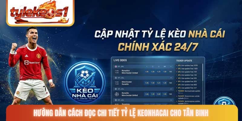 Hướng dẫn cách đọc chi tiết tỷ lệ keonhacai cho tân binh