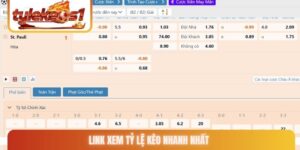 Link xem tỷ lệ kèo nhanh nhất